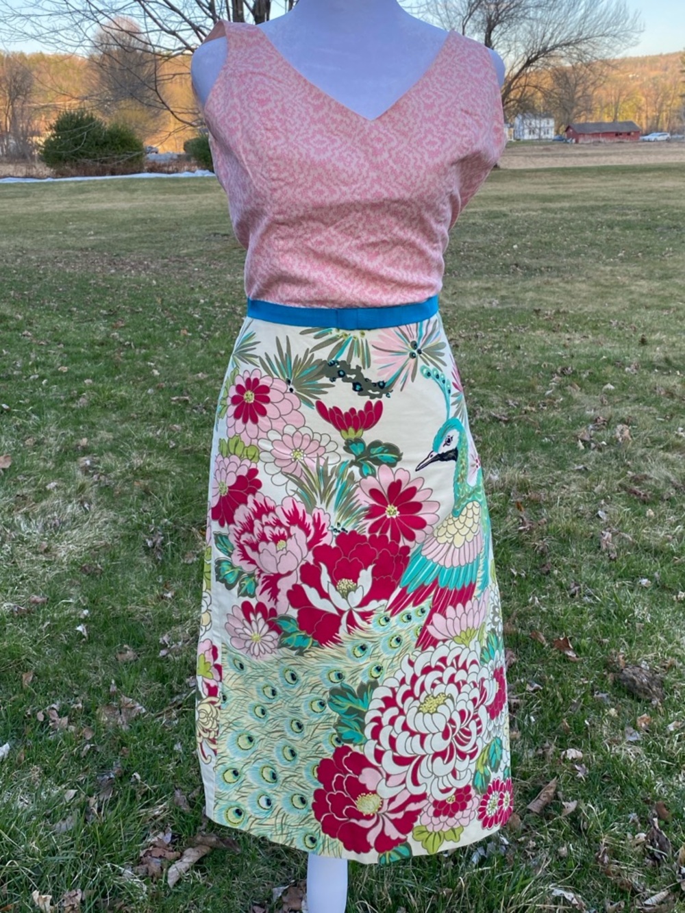 Tabitha Anthropologie Peacock Floral Cotton Dress Size 2 Colorful Midi A-Line